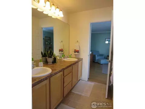 5220 Shavano Ct, Windsor, CO 80550 photo 13