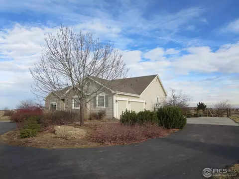 5220 Shavano Ct, Windsor, CO 80550 photo 3