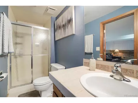 8209 S Steele Ct, Centennial, CO 80122 photo 28