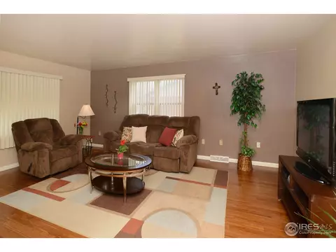 219 10th St, Windsor, CO 80550 photo 4