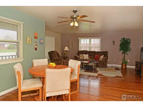219 10th St, Windsor, CO 80550 photo 5