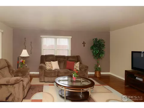 219 10th St, Windsor, CO 80550 photo 3