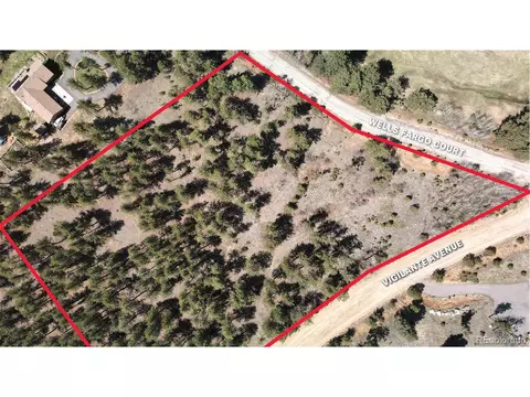 448 Vigilante Ave, Bailey, CO 80421
