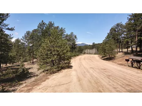 448 Vigilante Ave, Bailey, CO 80421 photo 21