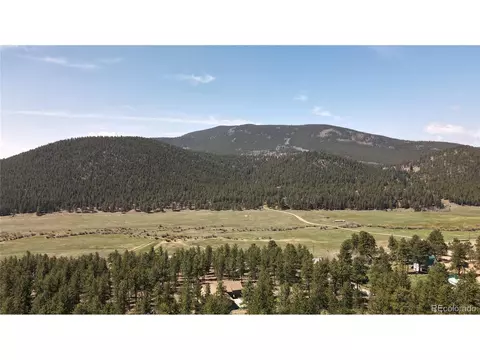 448 Vigilante Ave, Bailey, CO 80421 photo 3