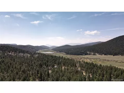 448 Vigilante Ave, Bailey, CO 80421 photo 12