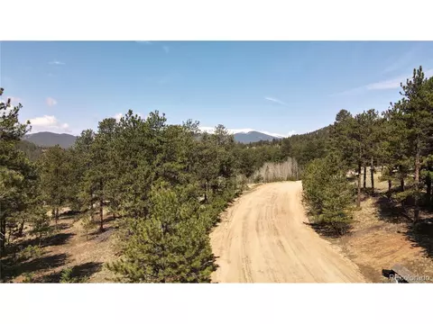 448 Vigilante Ave, Bailey, CO 80421 photo 22