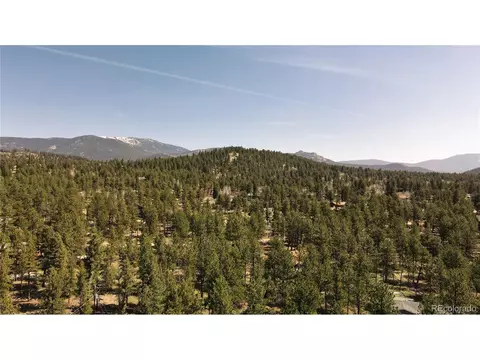 448 Vigilante Ave, Bailey, CO 80421 photo 9