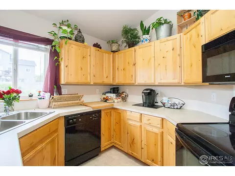 847 Cliffrose Way, Severance, CO 80550 photo 4