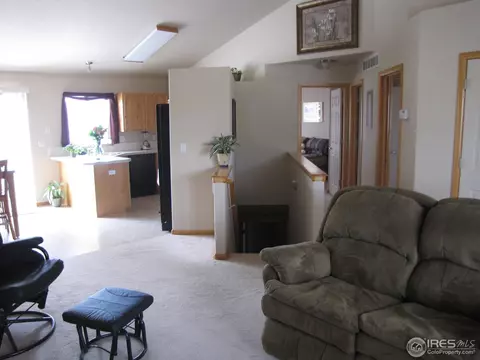 847 Cliffrose Way, Severance, CO 80550 photo 7