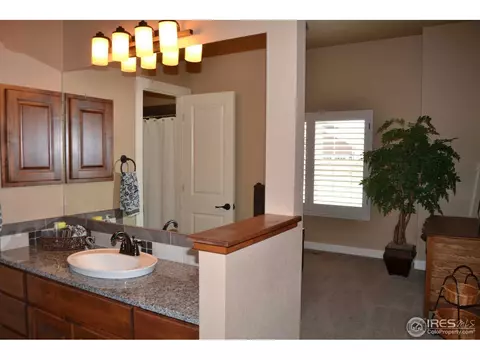 7354 Balcarrick Ct, Windsor, CO 80550 photo 12