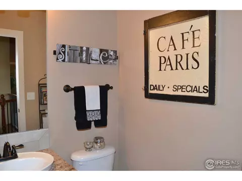 7354 Balcarrick Ct, Windsor, CO 80550 photo 19