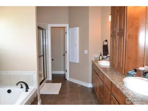 7354 Balcarrick Ct, Windsor, CO 80550 photo 10