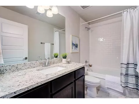 218 E Chestnut St #2, Windsor, CO 80550 photo 21