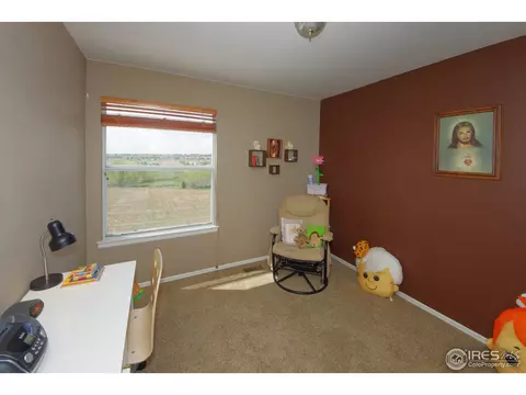 2942 E 115th Ave, Thornton, CO 80233 photo 16