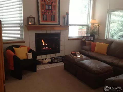 69 Huron Ct, Boulder, CO 80303 photo 17