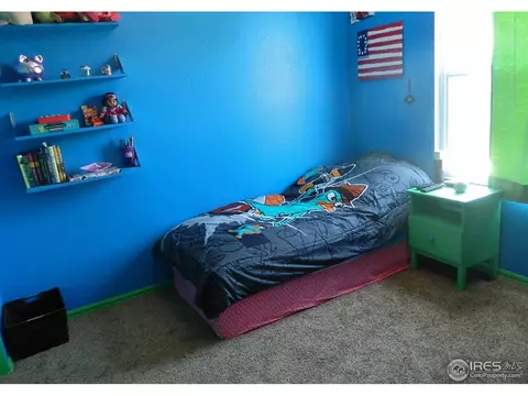 6137 Shamrock Cir, Frederick, CO 80530 photo 14