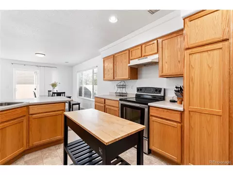 5230 Argonne St, Denver, CO 80249 photo 15