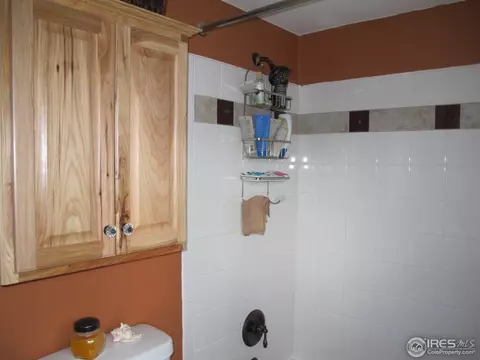 122 5th St, Mead, CO 80542 photo 18
