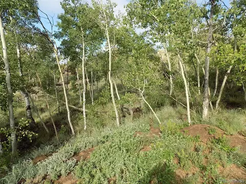 127 Bobwhite Cir, Como, CO 80432 photo 11