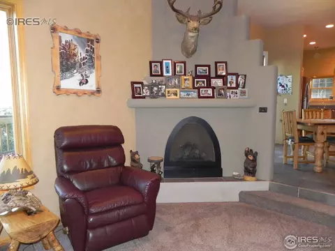 99 Carroll Ct, Black Hawk, CO 80422 photo 11