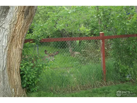 3005 23rd St, Boulder, CO 80304 photo 25