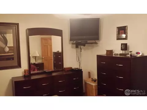 1460 Phoenix Ct, Thornton, CO 80229 photo 17