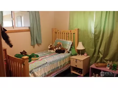 1460 Phoenix Ct, Thornton, CO 80229 photo 12