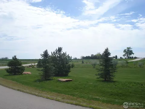 7479 Kyle Pl, Windsor, CO 80550 photo 12