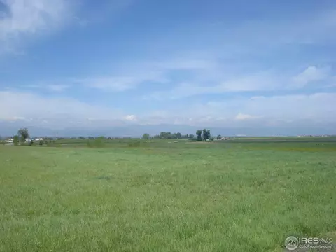 7479 Kyle Pl, Windsor, CO 80550 photo 18