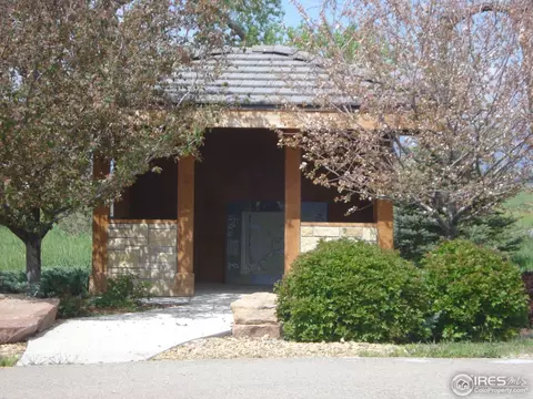 7479 Kyle Pl, Windsor, CO 80550 photo 9