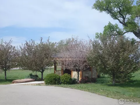 7479 Kyle Pl, Windsor, CO 80550 photo 10