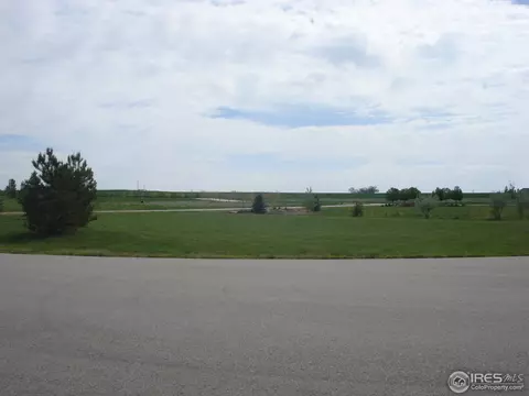 7479 Kyle Pl, Windsor, CO 80550 photo 7