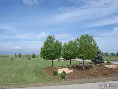 7479 Kyle Pl, Windsor, CO 80550 photo 15