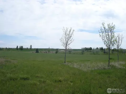 7479 Kyle Pl, Windsor, CO 80550 photo 13