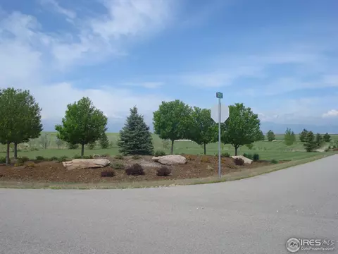 7479 Kyle Pl, Windsor, CO 80550 photo 8