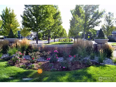 1334 Fairfield Ave, Windsor, CO 80550 photo 20