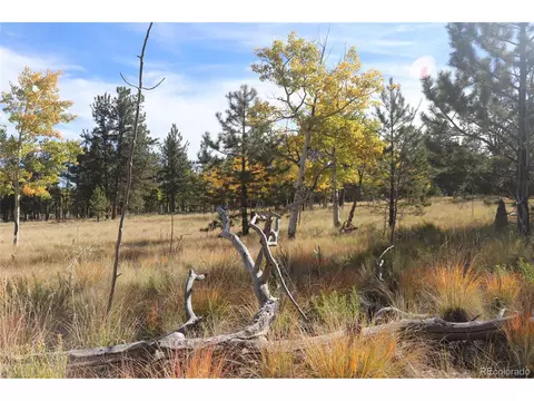 2348 Campfire Rd, Hartsel, CO 80449