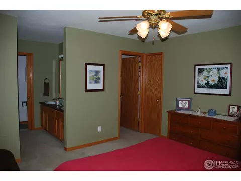 1225 Brookwood Ct, Windsor, CO 80550 photo 9