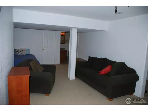 1225 Brookwood Ct, Windsor, CO 80550 photo 19