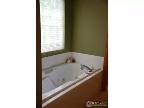 1225 Brookwood Ct, Windsor, CO 80550 photo 12