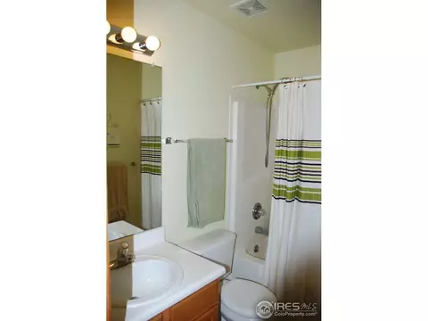 1225 Brookwood Ct, Windsor, CO 80550 photo 14