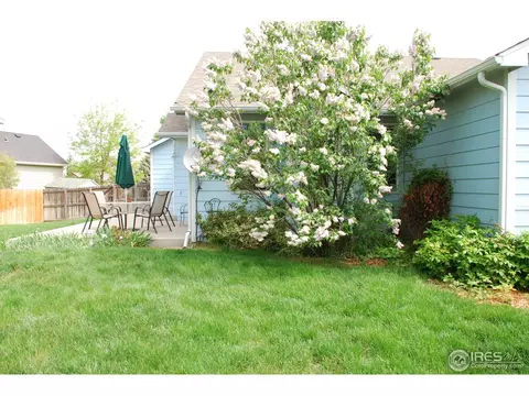 1225 Brookwood Ct, Windsor, CO 80550 photo 23