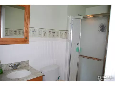 1225 Brookwood Ct, Windsor, CO 80550 photo 20