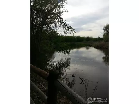 7907 Skyview St, Greeley, CO 80634 photo 9