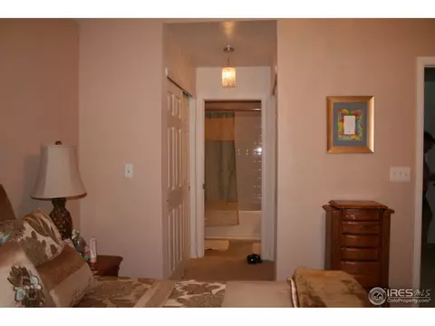 4667 E 98th Pl, Thornton, CO 80229 photo 15