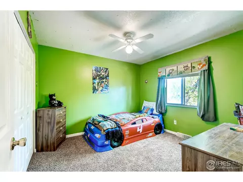 710 10th St, Windsor, CO 80550 photo 13