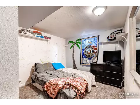 710 10th St, Windsor, CO 80550 photo 16