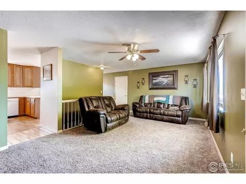 710 10th St, Windsor, CO 80550 photo 4