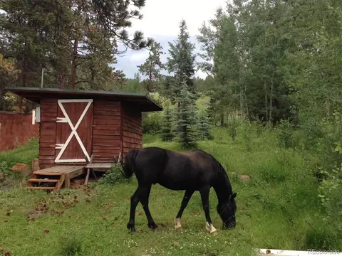 9399 Granzella Rd, Morrison, CO 80465 photo 5
